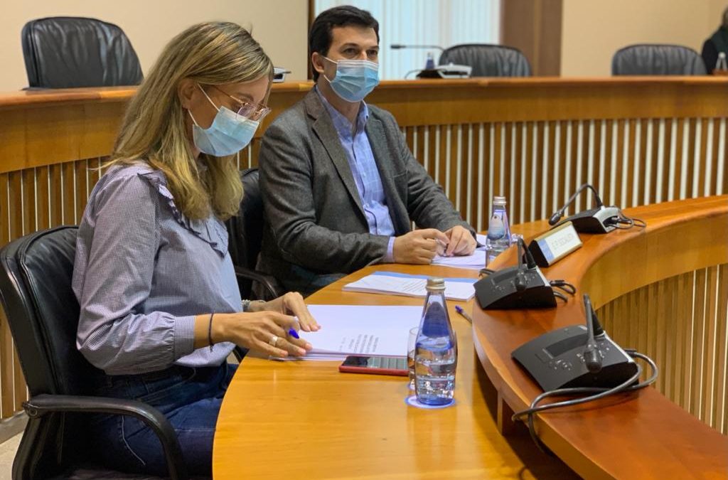 Gonzalo Caballero e Paloma Castro durante a Comisión de Reconstrución