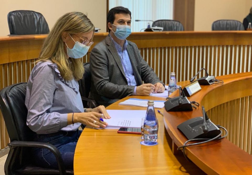 Gonzalo Caballero e Paloma Castro durante a Comisión de Reconstrución