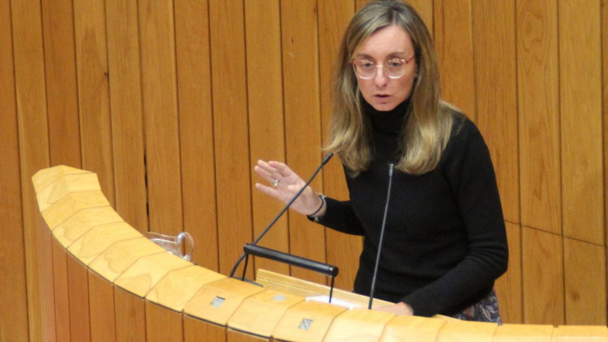 Paloma Castro durante a súa intervención sobre Política Social no Parlamento