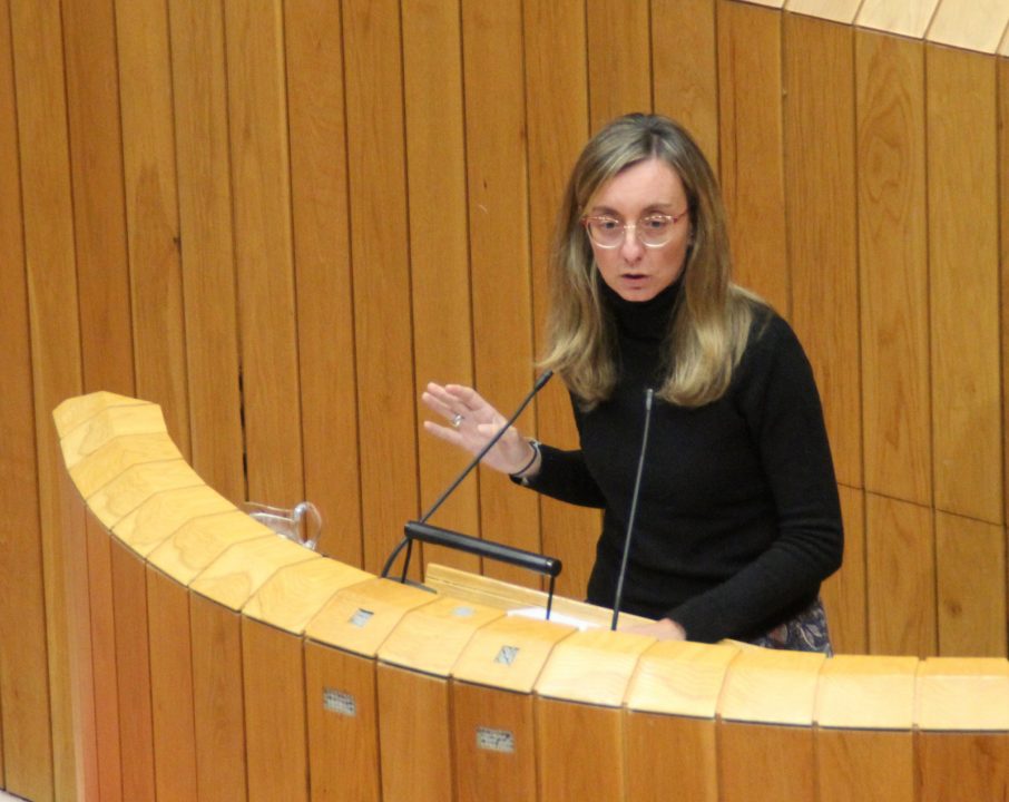 Paloma Castro durante a súa intervención sobre Política Social no Parlamento